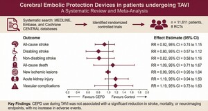 Figure from article: Cerebral embolic protection...